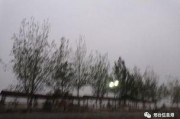 邢台头条最新爆料,最新爆料事件深度解析