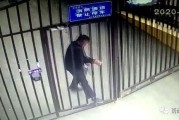 猛男餐厅爆料视频大全集,爆笑视频大全集幕后故事
