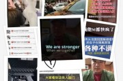 日本爆料病毒视频大全,病毒视频大全深度解析