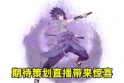 佐助技能爆料观众看法视频,观众看法两极分化，期待与担忧并存