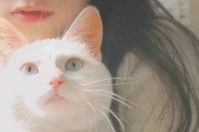 吃瓜网红少女猫猫,吃瓜网红的趣味生活揭秘